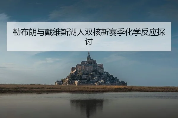 勒布朗与戴维斯湖人双核新赛季化学反应探讨